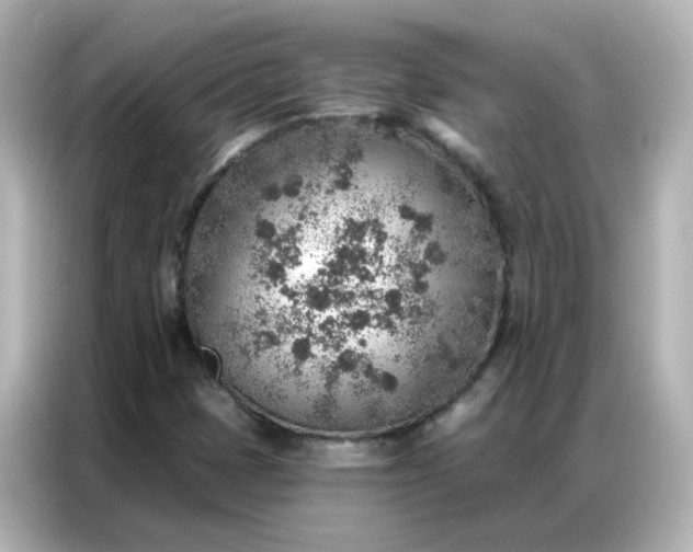 X0000086931401200704301108