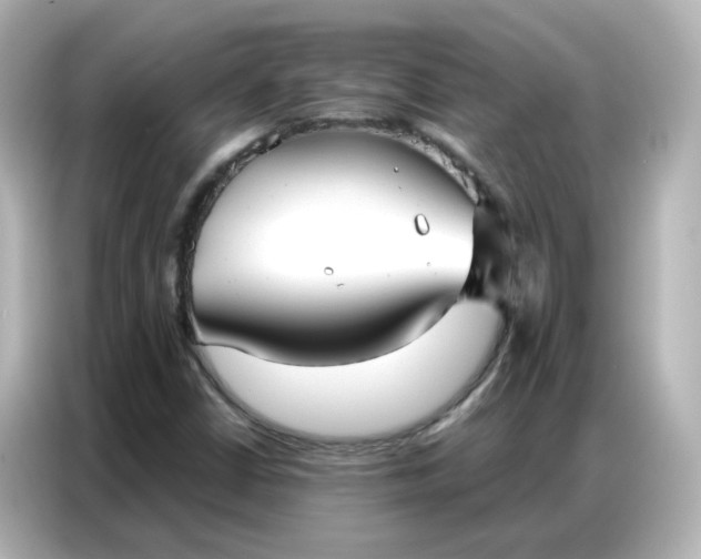 X0000086931402200704301108