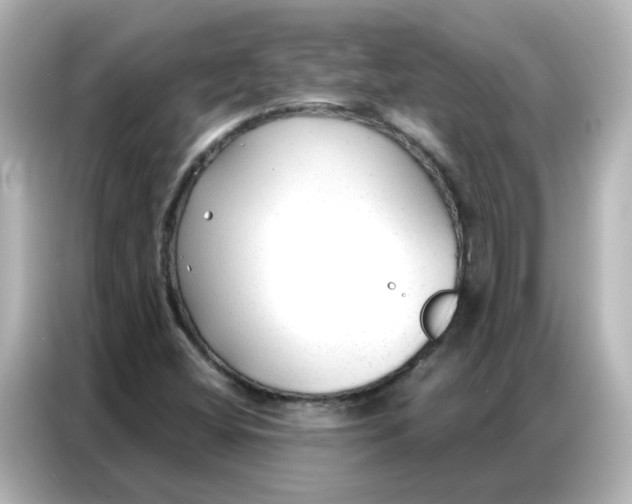 X0000086931404200704301108