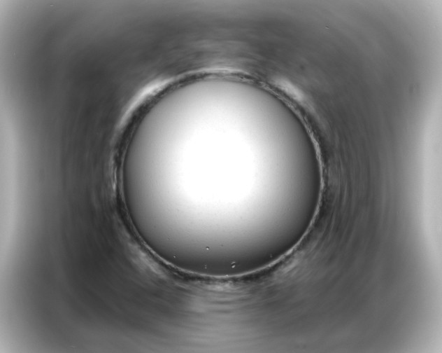 X0000086931408200704301108