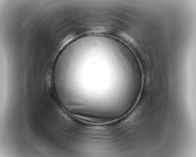 X0000086931409200704301108