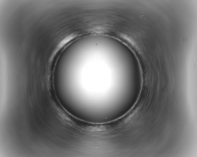 X0000086931410200704301108