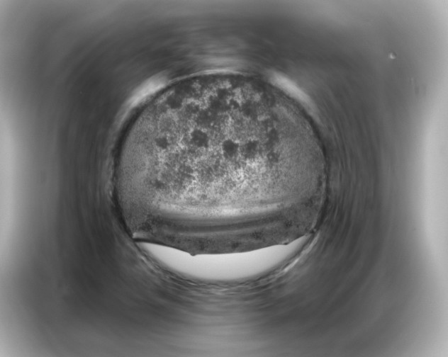 X0000086931411200704301108