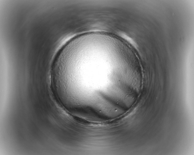 X0000086931415200704301108