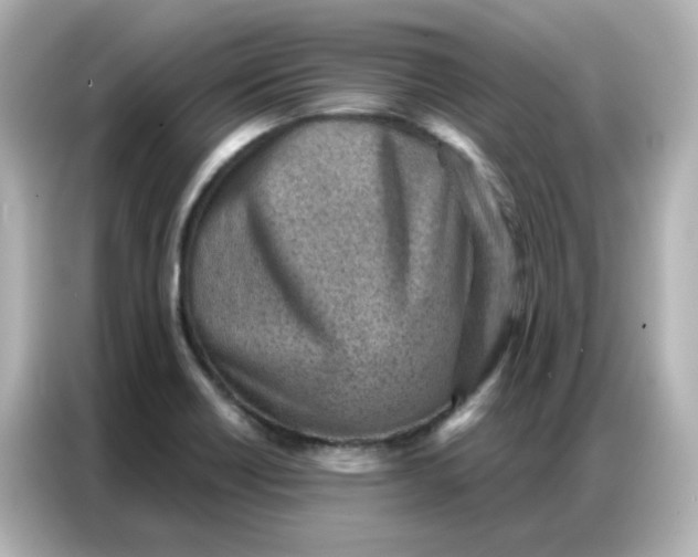 X0000086931418200704301108