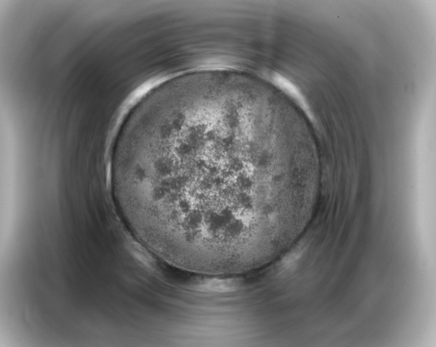 X0000086931419200704301108