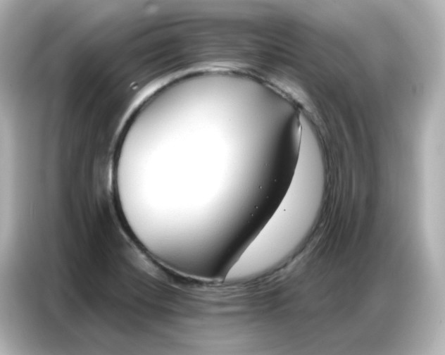 X0000086931420200704301108