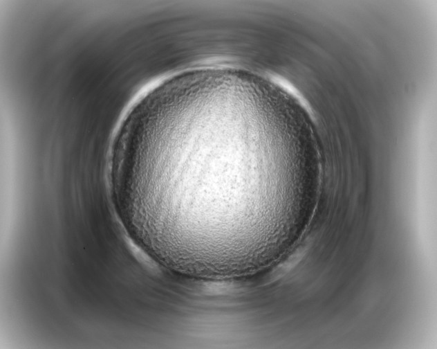 X0000086931421200704301108