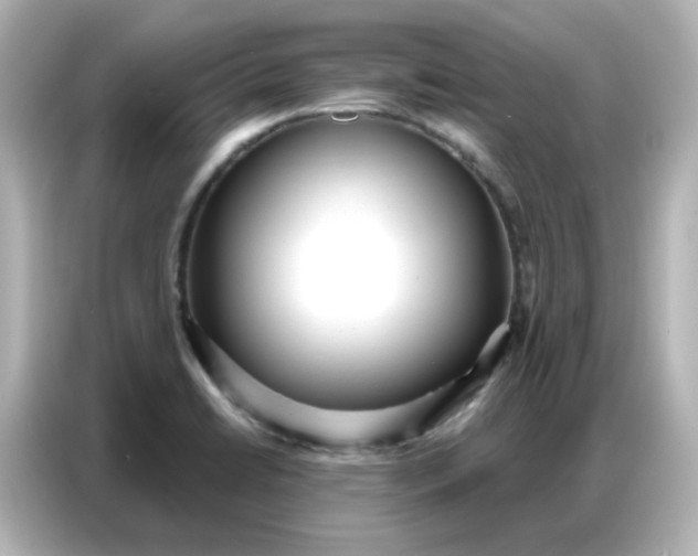 X0000086931422200704301108