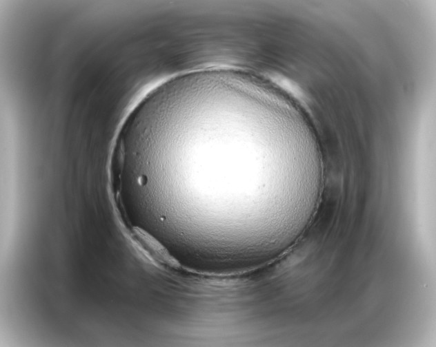 X0000086931423200704301108