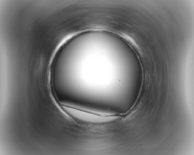 X0000086931424200704301108