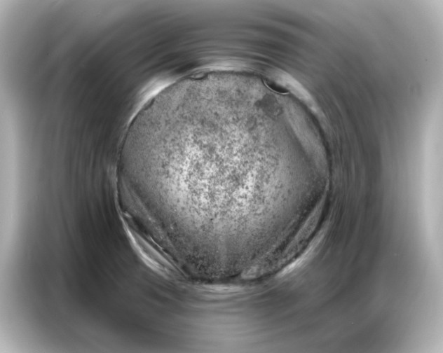 X0000086931425200704301108