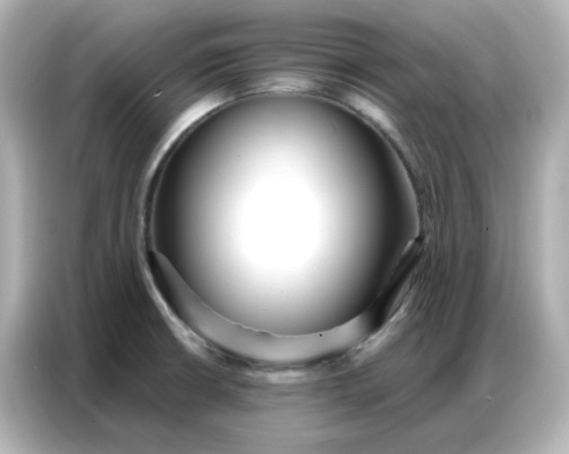 X0000086931426200704301108