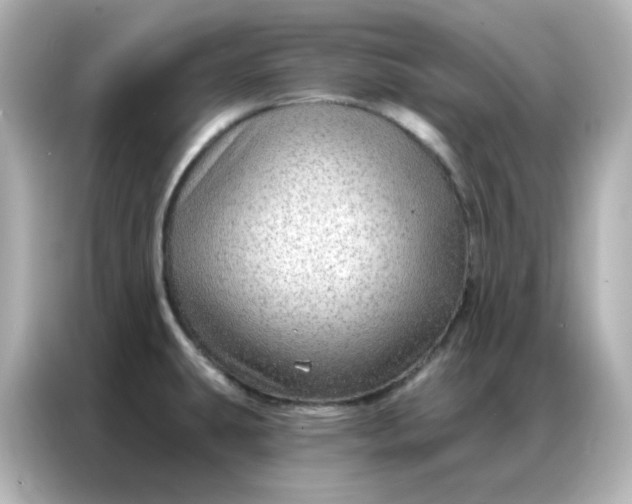 X0000086931431200704301108