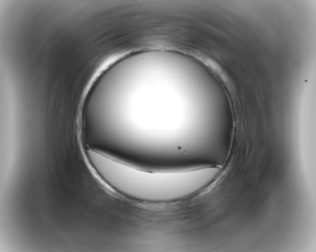 X0000086931432200704301108