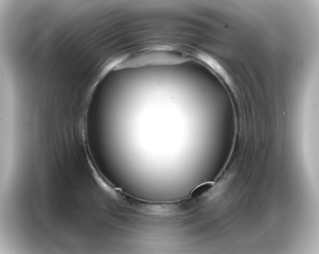 X0000086931433200704301108