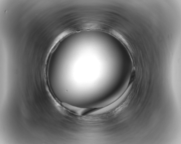 X0000086931434200704301108