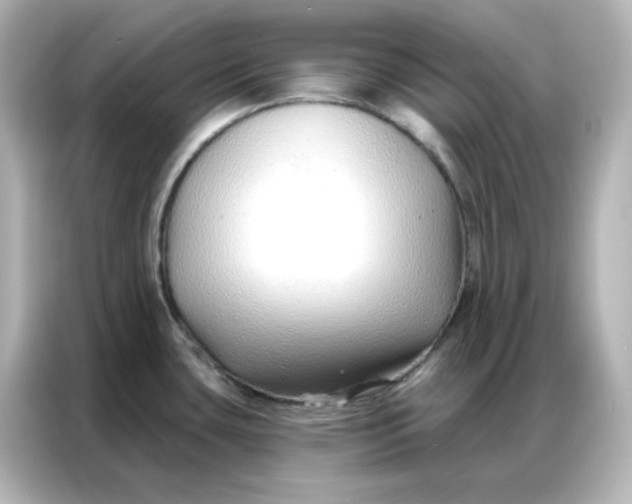 X0000086931435200704301108