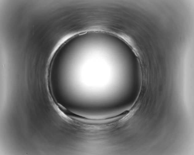 X0000086931438200704301108