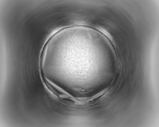 X0000086931439200704301108