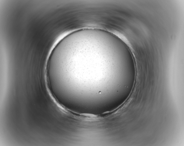 X0000086931440200704301108