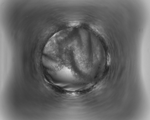 X0000086931441200704301108