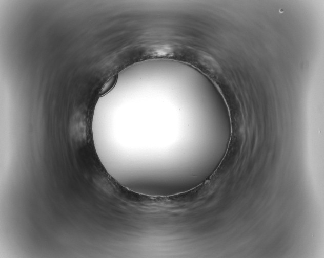 X0000086931442200704301108