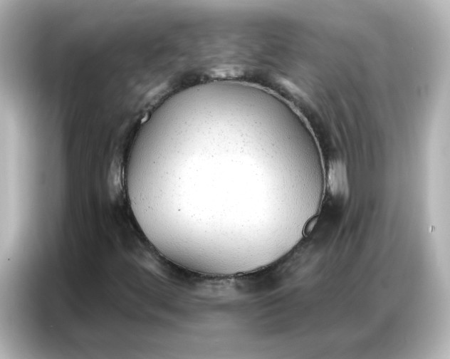 X0000086931444200704301107