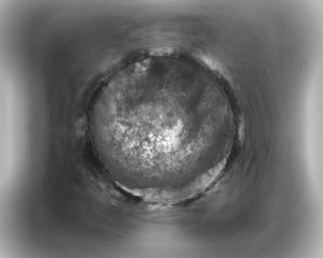 X0000086931445200704301107