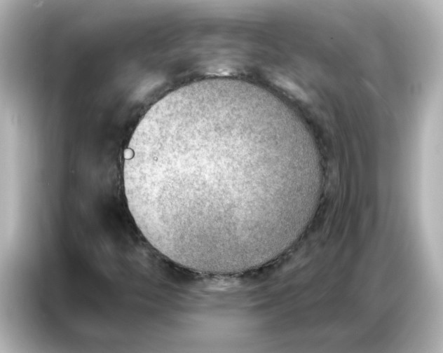 X0000086931446200704301107