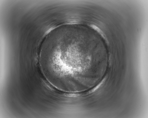 X0000086931449200704301107