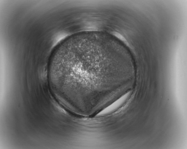 X0000086931450200704301107