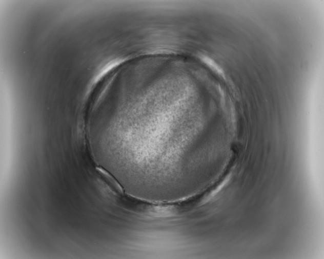 X0000086931453200704301107