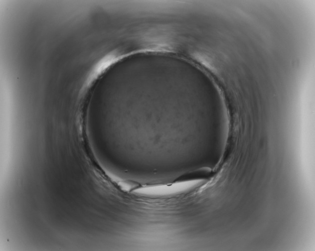 X0000086931455200704301107