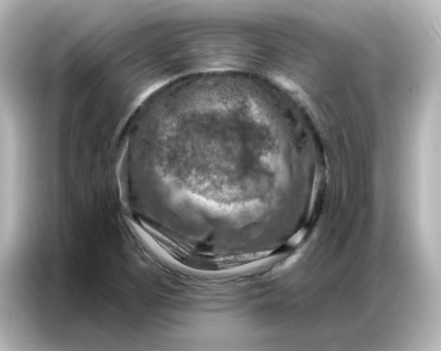 X0000086931457200704301107