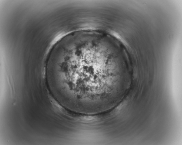 X0000086931459200704301107