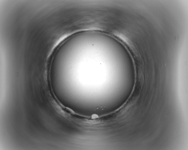 X0000086931460200704301107