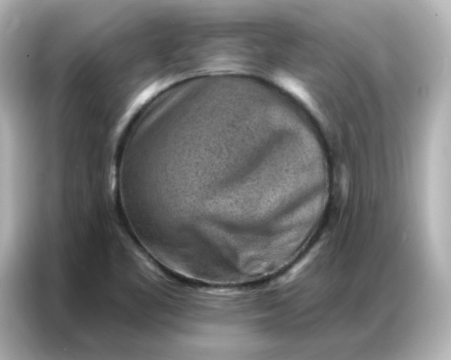 X0000086931461200704301107