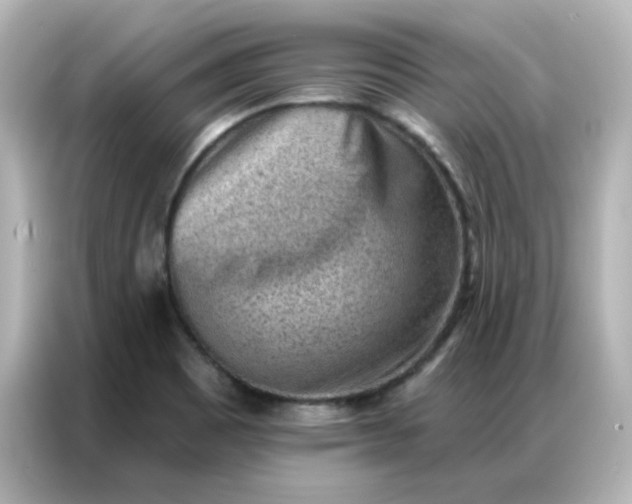 X0000086931465200704301107