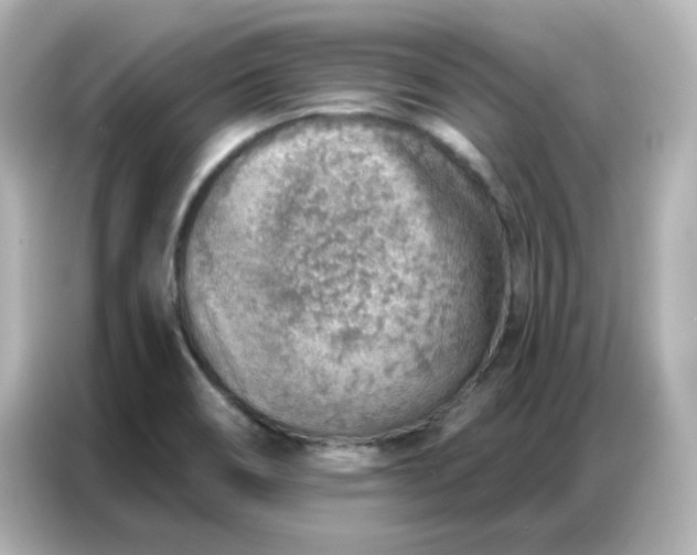 X0000086931466200704301107