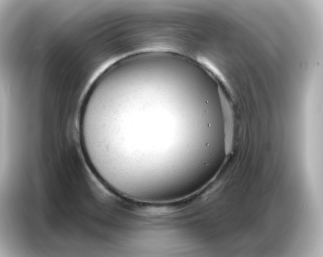 X0000086931468200704301107