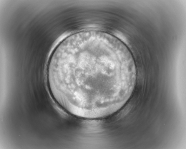 X0000086931474200704301107