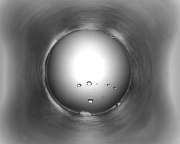 X0000086931479200704301107