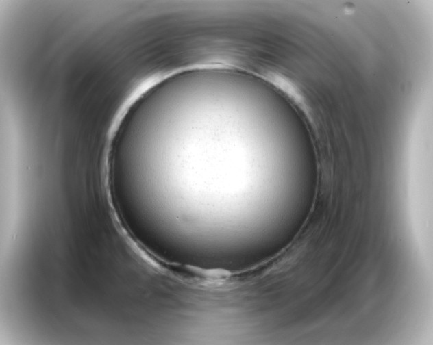 X0000086931480200704301107