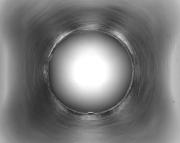 X0000086931481200704301107