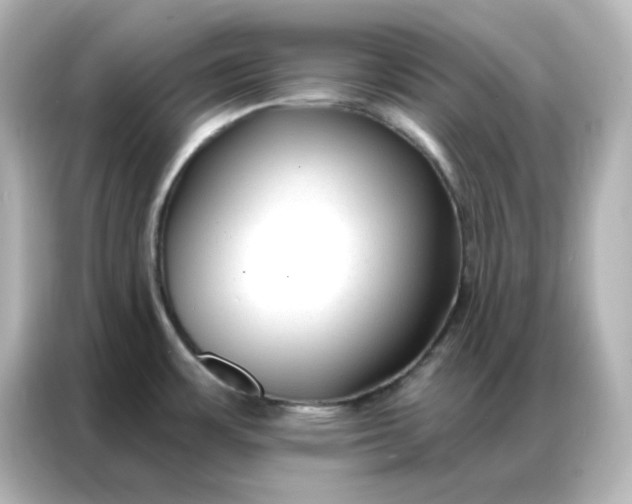 X0000086931483200704301107