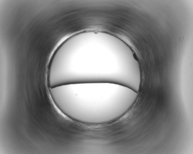 X0000086931484200704301107