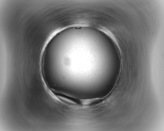 X0000086931488200704301107