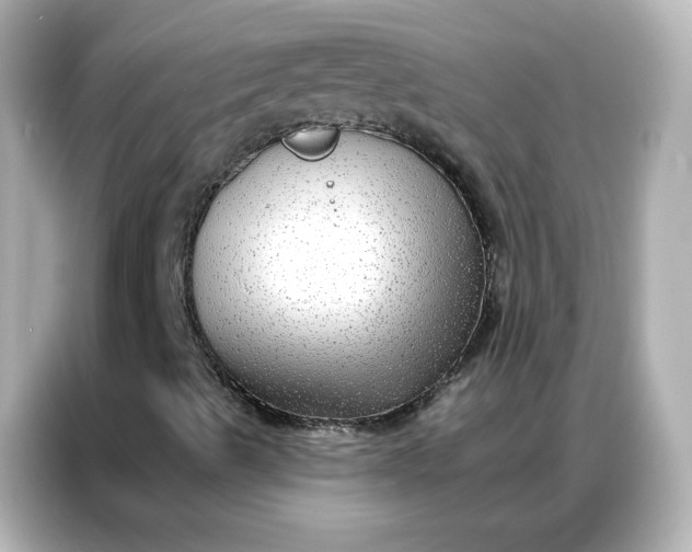 X0000086931489200704301106