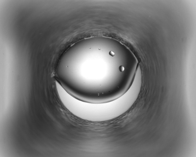 X0000086931492200704301106